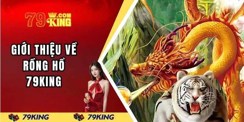 Giới thiệu về rồng hổ 79KING